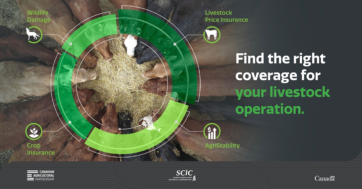 Find The Right Coverage for Your Livestock Operation