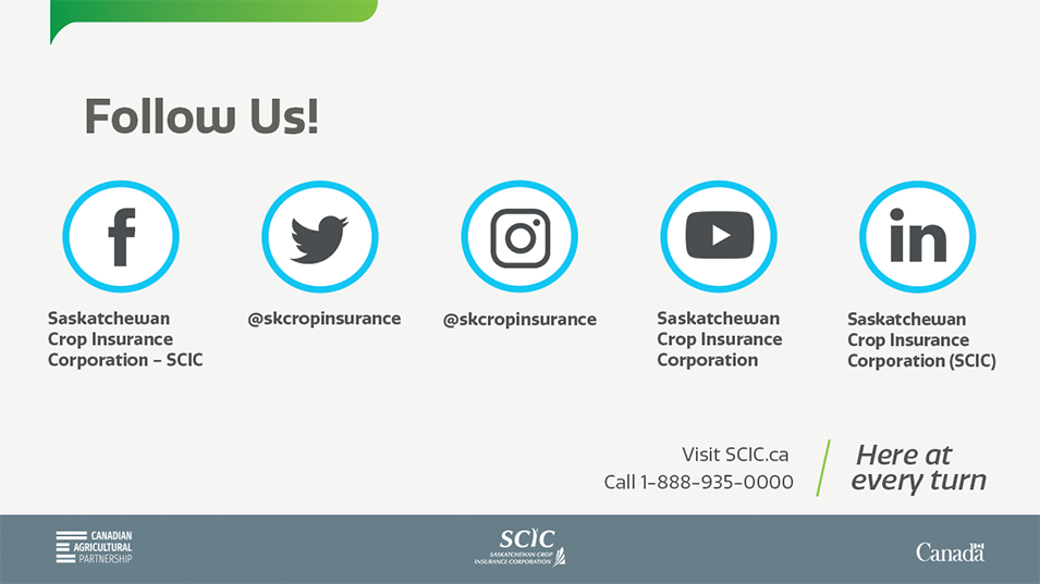 SCIC on Social Media